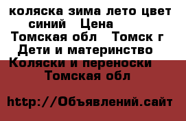 коляска зима_лето цвет синий › Цена ­ 500 - Томская обл., Томск г. Дети и материнство » Коляски и переноски   . Томская обл.